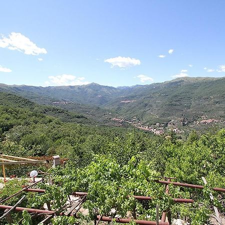 Lucinasco Agriturismo Nonni Devia מראה חיצוני תמונה